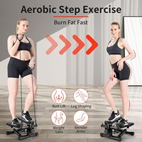 Equipo de entrenamiento en casa Stepper de escalera para ejercicio Mini Steppers con banda de resistencia Hydraulic Fitness Stepper