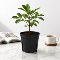 Pot Bunga PP Tahan Lama Grosir dengan Lubang Drainase untuk Menanam Pohon, Modern, Digantung, untuk Penggunaan di Taman Lantai, Warna Hitam
