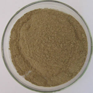 जीएमपी उच्च गुणवत्ता वाले यूका सिडिगेरा निकालें रूट-आधारित भोजन और फ़ीड ग्रेड युक्का पाउडर प्रमाणित हैल सैपोनिंस समृद्ध यूव टेस्ट विधि - Product Image 2