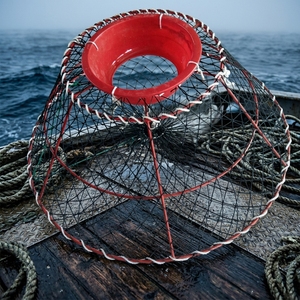 Nouveau piège à crabes en polyéthylène haute résistance (HDPE) / nylon multifilament RGSN pour la capture de crabes royaux et de crabes <span class=keywords><strong>des</strong></span> neiges – Spécial marché chilien - Product Image 3