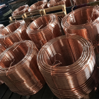 Fil torsadé CCS 37x2,25 mm, 25 % de conductivité, anti-corrosion, en acier plaqué cuivre, pour mise à la terre