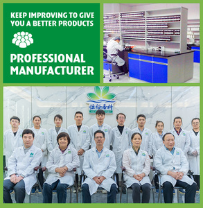 Saborizante <span class=keywords><strong>de</strong></span> Azúcar Luo Han Guo, Utilizado en Dulces, Bebidas, Bocadillos, Té con Leche, Leche <span class=keywords><strong>de</strong></span> <span class=keywords><strong>Coco</strong></span>, Mermeladas y Jarabes, Certificado Halal - Product Image 2