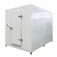 Cámaras de congelación Cámara de congelación Froide Congelador Compresor Habitaciones Refrigerador Contenedores para carne