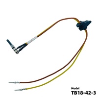 Allumeur de bougie de préchauffage 24V pour chauffage de stationnement Webasto Thermo 90, pièce de rechange pour brûleur, accessoire automobile