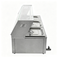Chauffe-Plats Électrique de Comptoir avec Mode Économie d'Énergie, Bain-Marie Chauffant pour Buffet