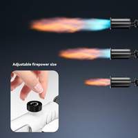 Chalumeau au propane puissant pour la cuisine, torche culinaire réglable pour barbecue et allume-charbon