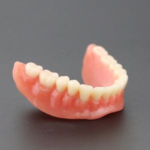 Modello di denti dentali di restauro di Overdenture di vendita calda/modello di studio dentale - Product Image 4