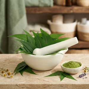 Fabricant d'extrait de poudre de Neem, fournisseur en gros de poudre d'extrait de feuilles de Neem de qualité - Product Image 1
