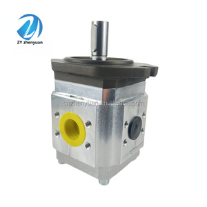 Bomba de Engranajes Hidráulicos Serie EIPC EIPC3 EIPC5 EIPC6 890-EI-0630-RK2-C311 EIPC3-063RA26-10 EIPC3-063RA26-1X 6000300253 ECKERLE Hydr - Product Image 5