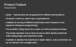 Máquina de Coser Electrónica para Ojales Rectos Golden Wheel CSA-3310 en Buen Estado, Coserá Diferentes Tipos de Ojales - Product Image 4