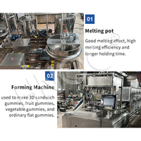 Ligne de production entièrement automatique de bonbons gélifiés multifonctionnels 3D à base de pectine, de gélatine et d'amidon, machine à fabriquer des oursons gélifiés