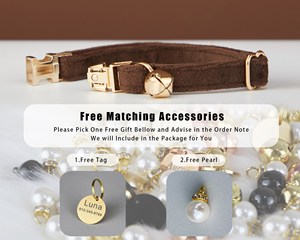 Sô Cô La Veet Cá Nhân Mèo & Con Chó Nhỏ Cổ Áo Cung Dây Xích Thiết Lập, Tùy Chỉnh Khắc Mèo Con Con Chó Con Tên Tag, Miễn Phí Chuông Vàng, Nam - Product Image 4