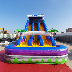 Dual lane toboggan aquatique gonflable kids outdoor bounce house inflatable tropical water <b>slide</b> with <b>pool</b> - Product Image 1
