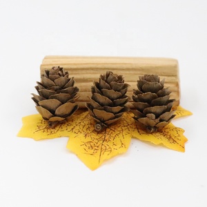 Mini nhỏ thông nón 25 Vòng chất béo tự nhiên sinh thái thân thiện trang trí pinecones 1 "2" 2.5-3cm - Product Image 2
