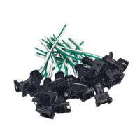Produsen Kabel Harness Sensor Injektor Bahan Bakar Konektor EV1 2 Pin Otomatis Grosir