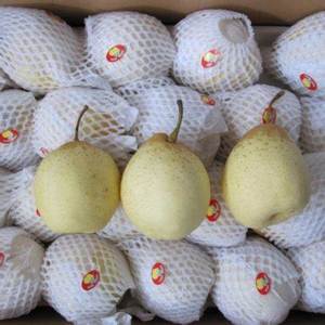 Pera Ya Fresca/Pera Corona, Frutas Dulces y Jugosas, Precio al por Mayor, Exportación Directa de China - Product Image 4