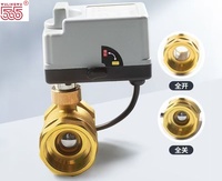 Vanne à boisseau sphérique automatique en laiton à 2 voies avec actionneur électrique et commande par solénoïde pour eau haute température, personnalisation OEM disponible
