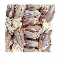 Os de poulet congelés de qualité supérieure avec filet de poitrine - Teneur élevée en viande pour bouillon de ramen et aliments pour animaux de compagnie - Certifié Halal, approvisionnement en vrac