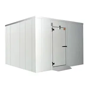 Walk in cold room with FIRE RATED PUR PANEL