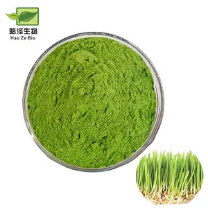 High quality barley grass extract green barley grass powder