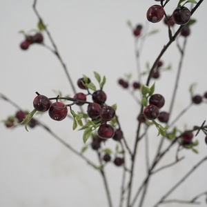 <span class=keywords><strong>Pequeña</strong></span> Manzana Americana, Decoración de Frutas Pastorales, Flor Artificial, Modelo 11, Significado Pacífico, Bayas, Decoración del Hogar, Fotografía - Product Image 3