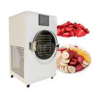 Hnoc 6 Tray Snoep Pet Food Fruit En Groente Sublimatie Mini Citroensap Vriesdroger Machine Voor Tafelblad