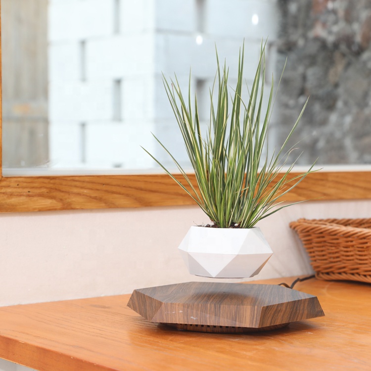 deep rooting pot seedling