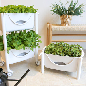 Pot de fleurs intelligent à arrosage par le bas, fabrication coréenne, avec réservoir, moderne, pour plantes d'intérieur, minimaliste, pour bureau, vente en gros - Product Image 3