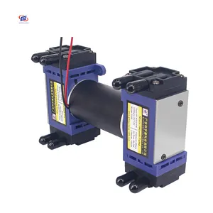 Low Power Consumption 220V 12V Micro Vacuum Pump