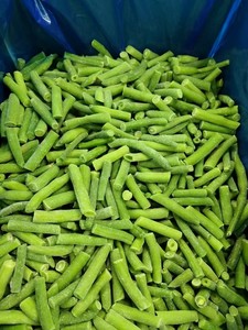 Haricot vert IQF coupé à bas <span class=keywords><strong>prix</strong></span> Haricot vert congelé Légumes Iqf entiers - Product Image 3