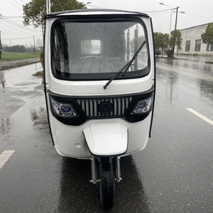 Triciclo Eléctrico de Pasajeros de Tres Ruedas en Oferta, Motocarro o Tuk Tuk Automático con Velocidad de 60 km/h y Capacidad de Carga de 600 kg - Product Image 2