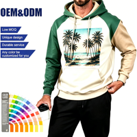 Felpa con Cappuccio Oversize Raglan 220gsm con Stampa a Blocchi Contrastanti Personalizzata per Creatori di Moda Maschile, Basso MOQ ODM