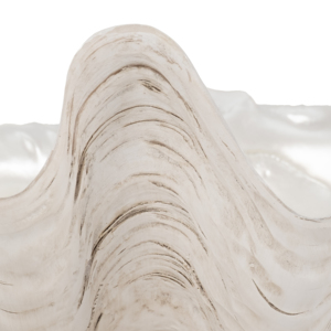 Ciotola Decorativa con Guscio Texturizzato e Bordo Ondulato per l'Accento della Tavola di Casa - Product Image 6