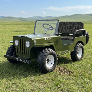 Fábrica China XCEGO Mini Jeep Eléctrico/Gasolina, Vehículo Todoterreno de 4 Ruedas, 2 Asientos, 1 Año de Garantía, Menos de 150HP - Product Image 1