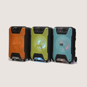 Loa kéo di động không dây Bluetooth 8 inch 10W NEW TTD-8257, loa siêu trầm, loa karaoke gia đình, loa DJ, có micro - Product Image 6