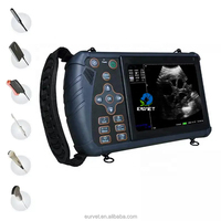 Appareil d'échographie vétérinaire EURVET, scanner vétérinaire portable, clinique vétérinaire, chien, chat, cheval, bétail, mouton, ferme, gestation
