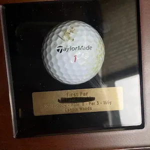 Tùy Chỉnh Đứng Loại Gỗ Golf Bóng Hiển Thị Trường Hợp Hiện Đại Phong Cách Bằng Gỗ Hole-in-One Golf Bóng Hộp Hiển Thị Với Mảng Bám Khắc - Product Image 4