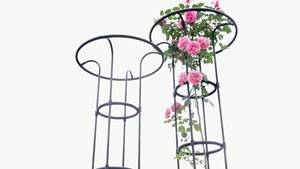 160cm Garden <strong>Flower</strong> <strong>Support</strong> Frame with Plastic-coated Iron Pipe Plant Climbing Frame Rose Stand Umbrella-shaped Climbing Trellis - Product Image 4