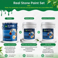 Peinture d'extérieur imperméabilisante effet pierre naturelle pour murs en béton – Matériau de revêtement décoratif