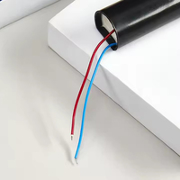Module générateur d'arc haute tension à impulsions CC 3,7 V, transformateur de puissance à choc électrique pour onduleur à fréquence variable
