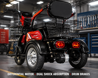 Tricycle Électrique à 3 Roues Direct Usine, Moteur Arrière 800W, Batterie 60V 20Ah, Acier Carbone, Passager, Certifié CE, Vente en Gros
