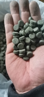 Makanan Tablet Spirulina untuk Ikan Tropis Kecil
