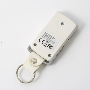 Hiland nhà sản xuất 2-kênh Transmitter không dây <span class=keywords><strong>Swing</strong></span> Gate điều khiển từ xa - Product Image 3