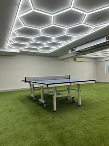 जिम गैरेज और वर्कशॉप थोक के लिए छत लाइट न्यू डिजाइन, जिम गैरेज और कार्यशाला थोक - Product Image 5