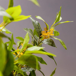 Albero di Osmanthus Artificiale per Decorazione Interna di Negozi e Centri Commerciali, Decorazione da Pavimento, Albero dei Desideri per Capodanno, Creazione di Paesaggi - Product Image 5