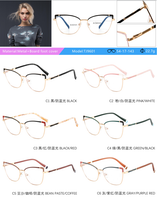 Montures de lunettes pour femmes, style classique, anti-lumière bleue, en métal, œil de chat, monture complète, rose, légères, option logo personnalisé, usage quotidien