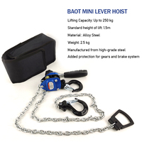 Mini palan à levier léger pour bricolage et usage domestique, avec chaîne en acier allié, capacité de charge de 0,5 tonne, hauteur de levage personnalisée, homologué CE