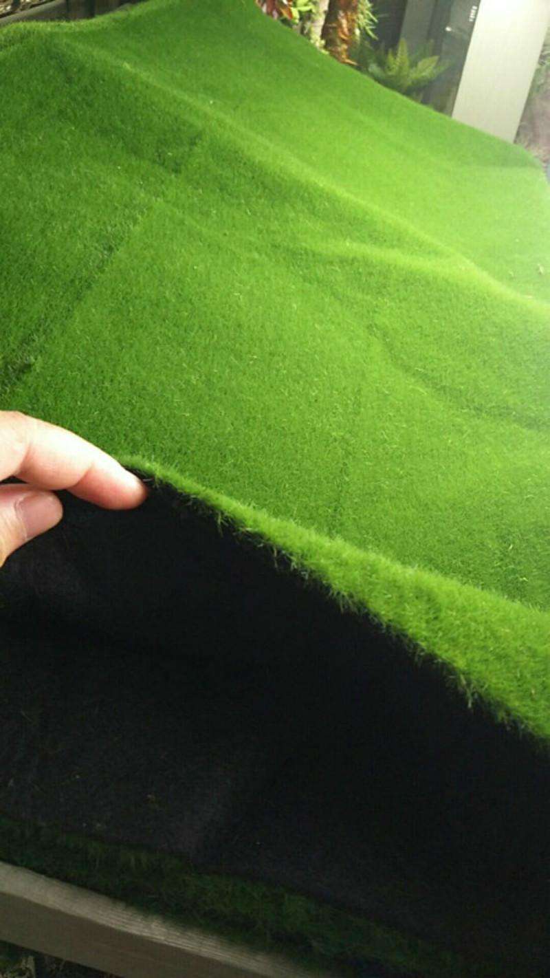 N. 5 Crittografia piatta un prezzo quadrato No