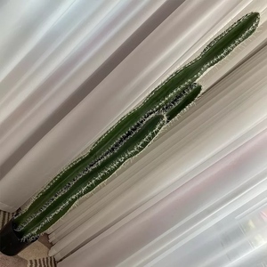 Vente directe d'usine <span class=keywords><strong>Cactus</strong></span> artificiel décoration intérieure et extérieure - Product Image 3