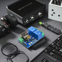 Dual-Way 5V Esp8266 Smart Home WiFi Relé Android App Interruptor de control remoto Internet de las cosas Acceso remoto móvil